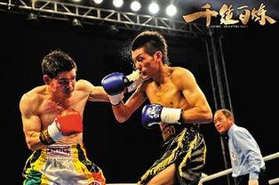 吃瓜娱乐拳击视频,吃瓜娱乐拳击视频大盘点